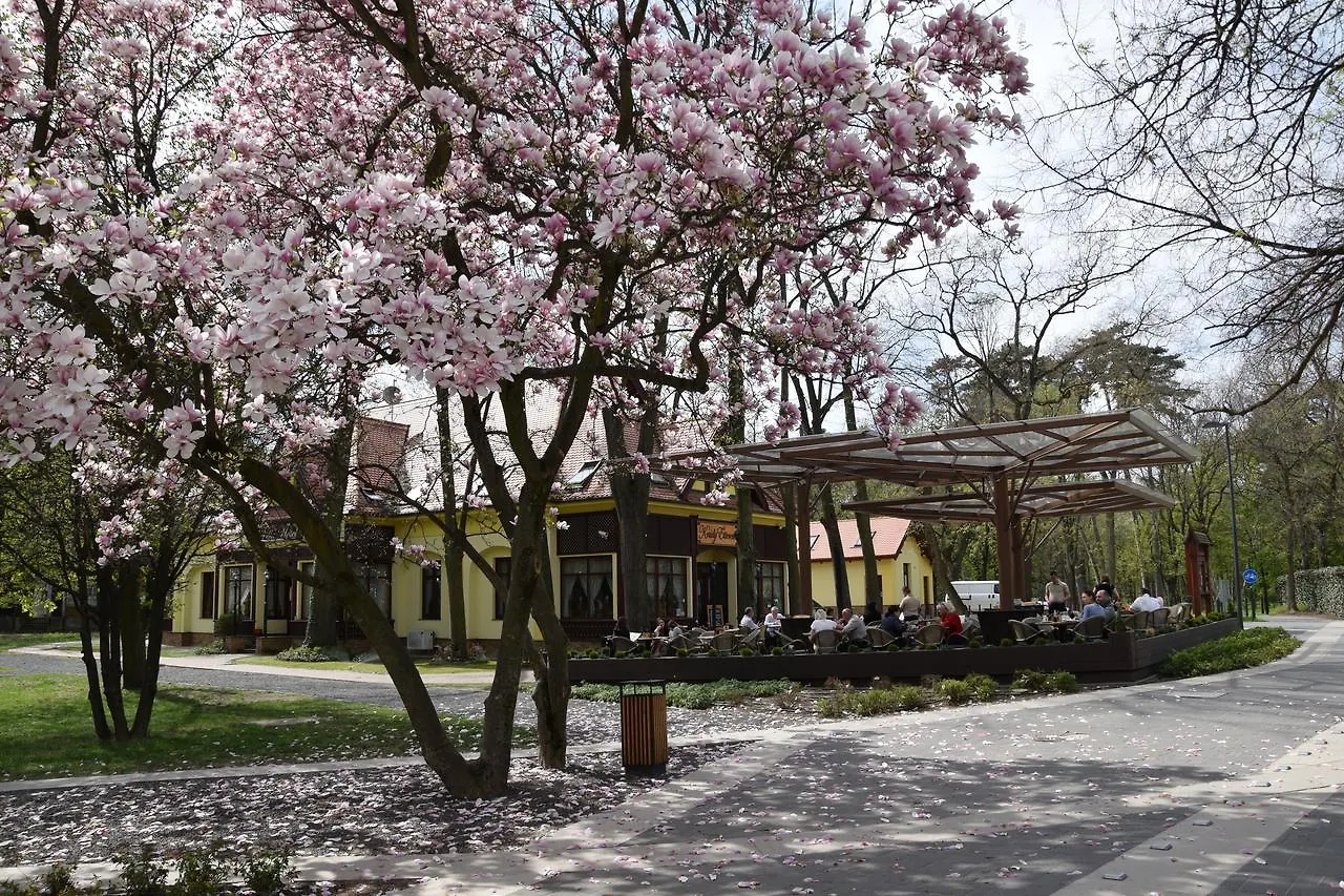 Villa Hotel Debreczyn