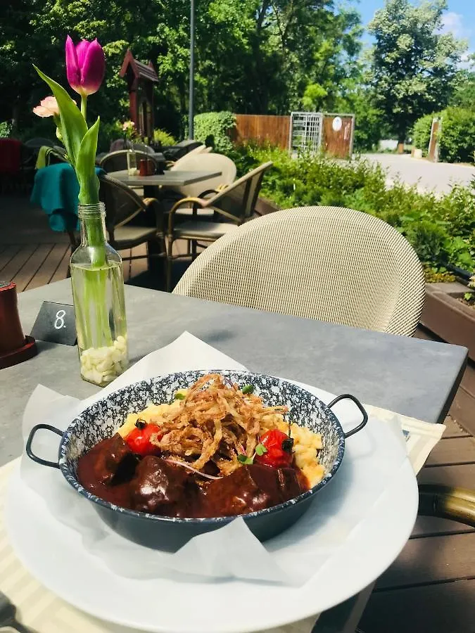 Villa Hotel Debrecen